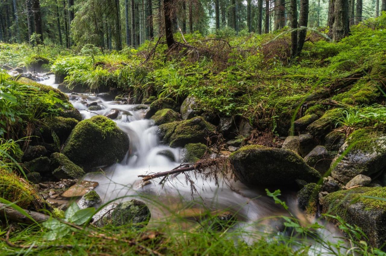 Apartmán Malinovy Sen II Habovka Exteriér fotografie